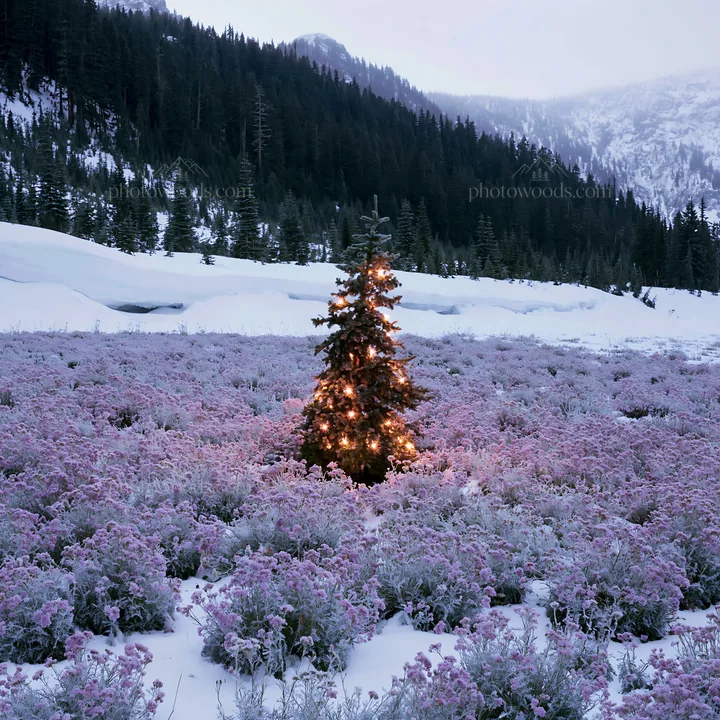 Christmas tree with lights in snowy mountain valley meadow - AI-generated stock image