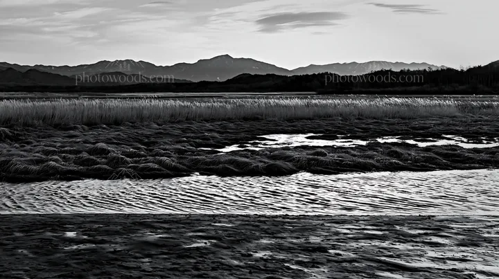 Akita meadow with silver grasses and snowmelt river - AI-generated stock image