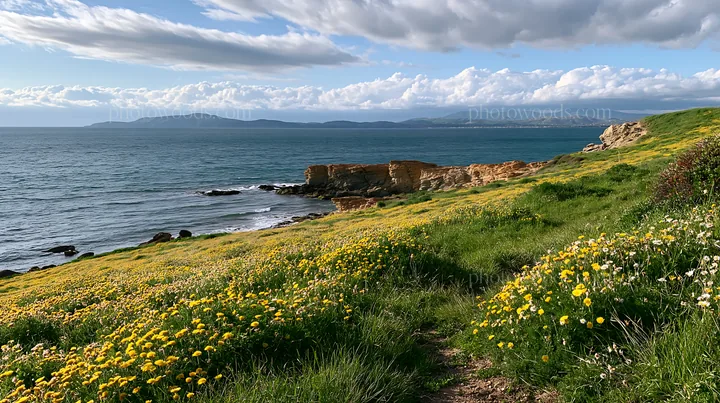 Lush meadow with flowers along rocky Italian coastal sea - AI-generated stock image
