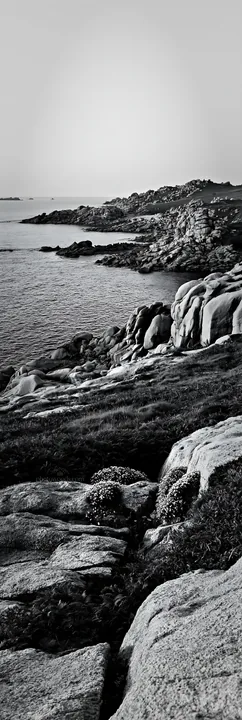 Clifftop meadow overlooking rocky coastline and ocean - AI-generated stock image