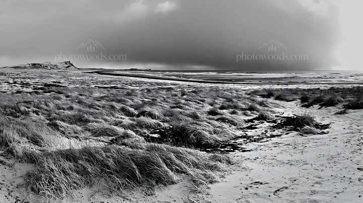 Snowy beach meadow with grass and cloudy sky - AI-generated stock image