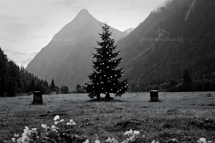 Christmas tree decorated with baubles in mountain meadow - AI-generated stock image