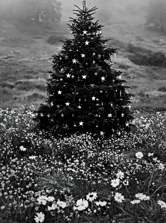 Christmas tree decorated with ornaments in valley meadow - AI-generated stock image