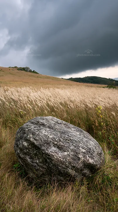Aomori climate resilient meadow with boulder under cloudy sky - AI-generated stock image
