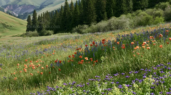 Poppy larkspur meadow in a green landscape with hills - AI-generated stock image