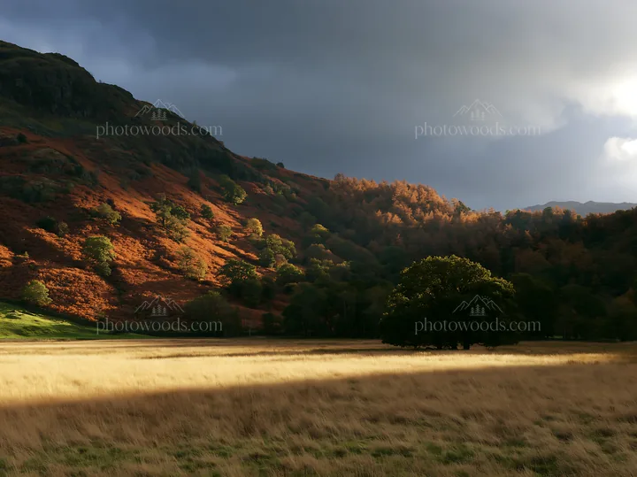 Autumn meadow with sunlight and mountains in the background - AI-generated stock image