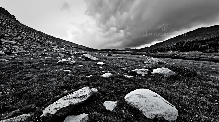 Meadow with boulders under cloudy sky in black and white - AI-generated stock image