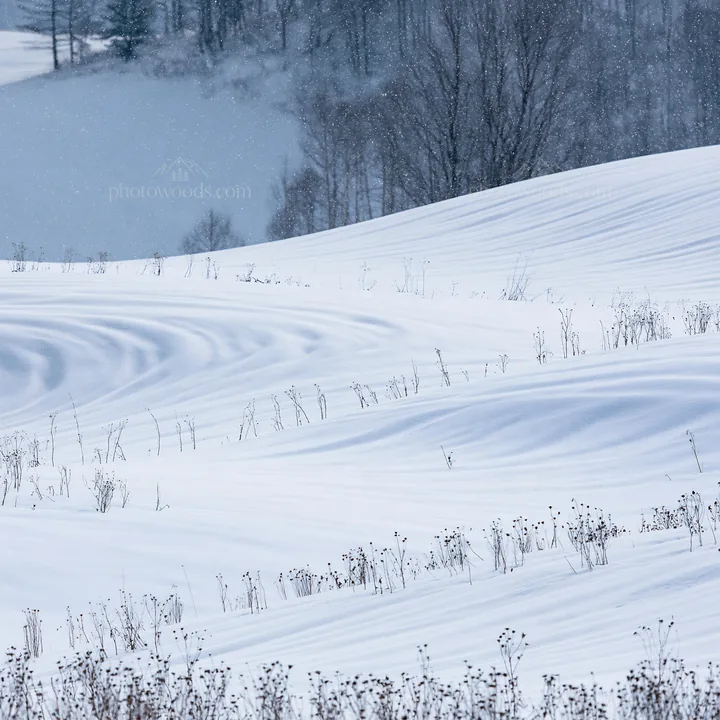 Snow covered Biei hills meadow in winter season - AI-generated stock image