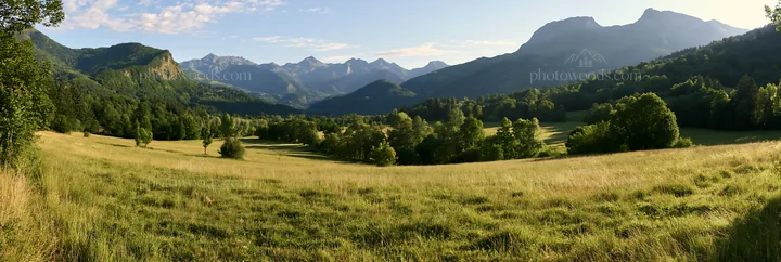 French meadow below Pyrenees range during daylight - AI-generated stock image