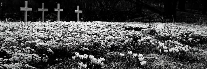 Four Christian crosses in winter meadow with flowers - AI-generated stock image