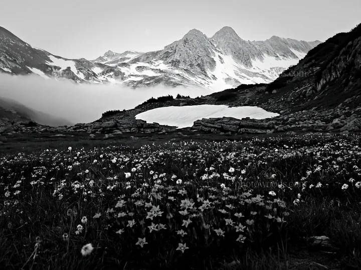 Moonrise over a meadow with mountains in the background - AI-generated stock image