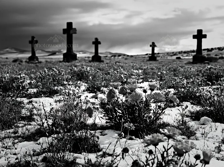 Multiple Christian crosses in snowy meadow with flowers - AI-generated stock image