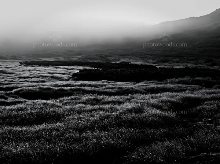 Black and white daisetsuzan alpine meadow light rays shine through fog - AI-generated stock image