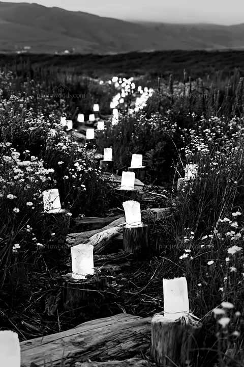 Christmas meadow with lights and driftwood in black and white - AI-generated stock image