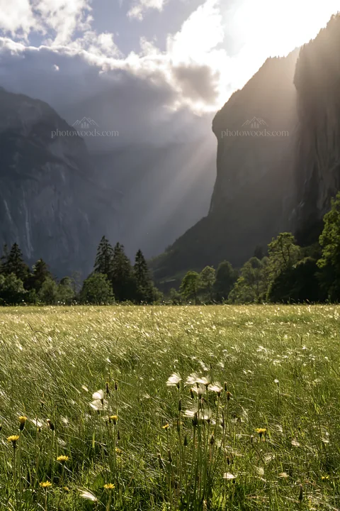 Lauterbrunnen Valley meadow with light rays shining through - AI-generated stock image