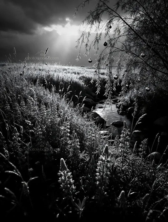 Christmas ornaments above stream in meadow - AI-generated stock image