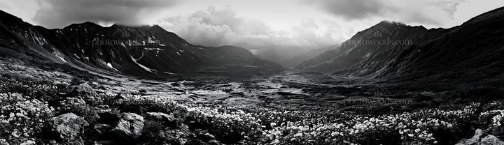 Black and white toyama alpine meadow snowmelt rock foreground - AI-generated stock image