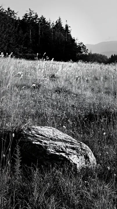 Granite boulder in Nagano drought resilient meadow - AI-generated stock image