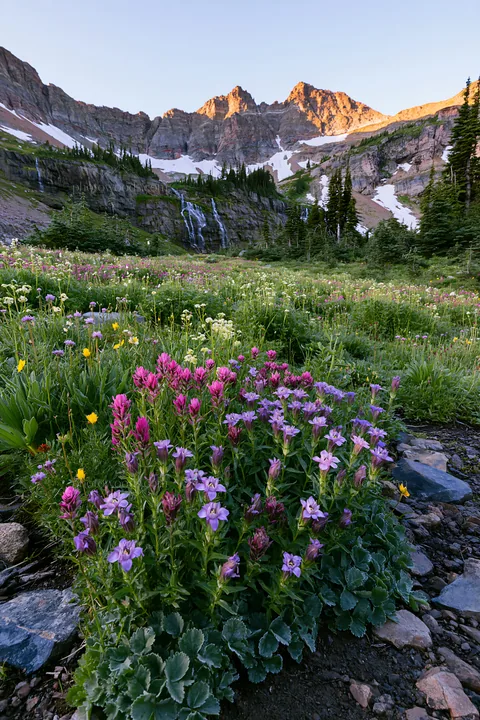 Flower meadow with distant cascade in mountain range - AI-generated stock image