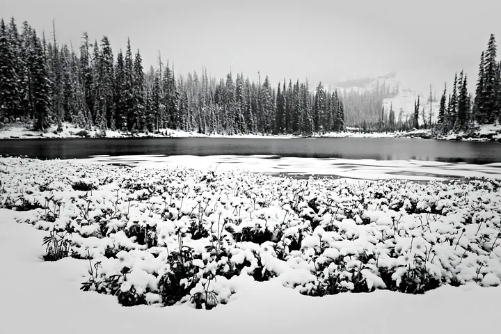 Frozen tarn meadow covered in snow - AI-generated stock image