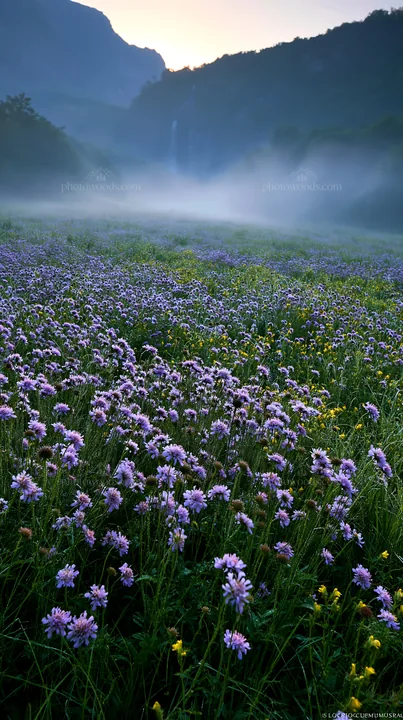 Wildflower meadow with waterfall mist in the background - AI-generated stock image