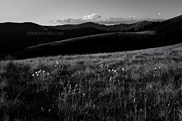 Moonrise over meadow with mountains in background - AI-generated stock image