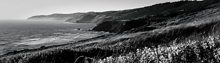 Black and white clifftop meadow with ocean view and blooming flowers - AI-generated stock image