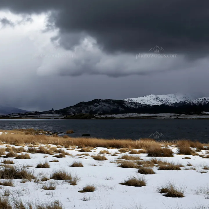 Snowy lakeside meadow under a cloudy sky - AI-generated stock image