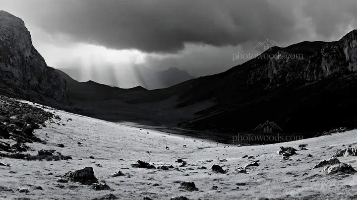 Sunrays over Picos de Europa meadow in black and white - AI-generated stock image