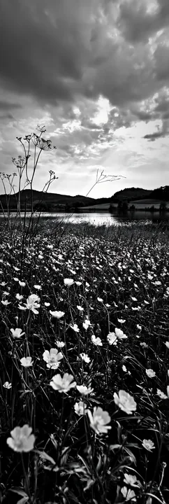 Lakeside meadow with flowers under cloudy sky in Germany - AI-generated stock image