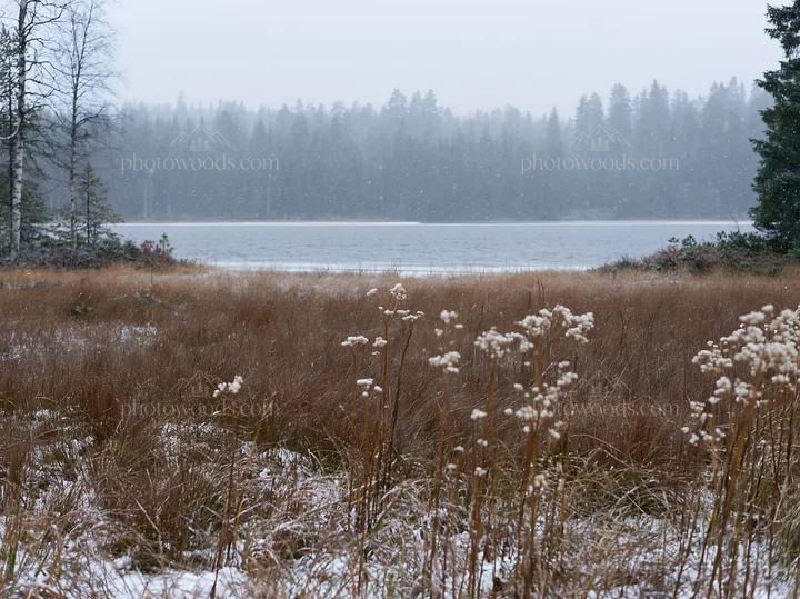 Lakeside meadow after first snowfall in winter scenery - AI-generated stock image