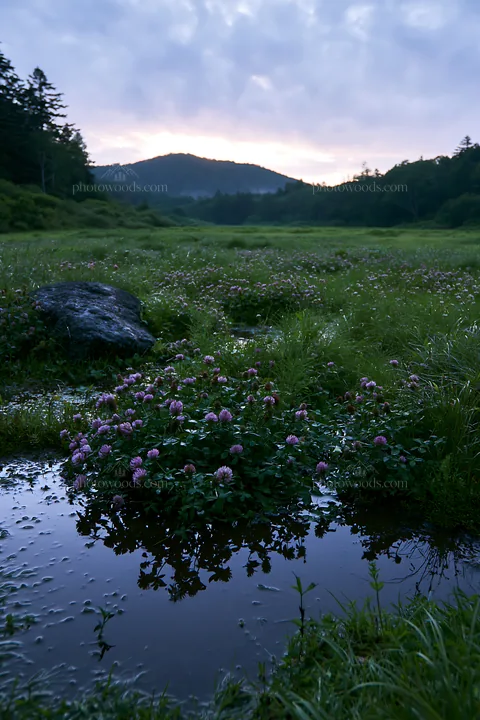 Nagano drought resilient meadow granite boulder - AI-generated stock image