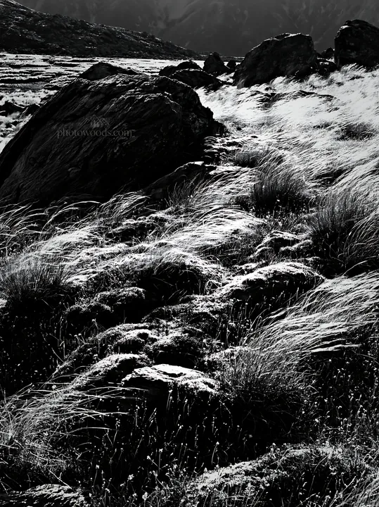 Mossy boulders in a meadow under sunlight - AI-generated stock image