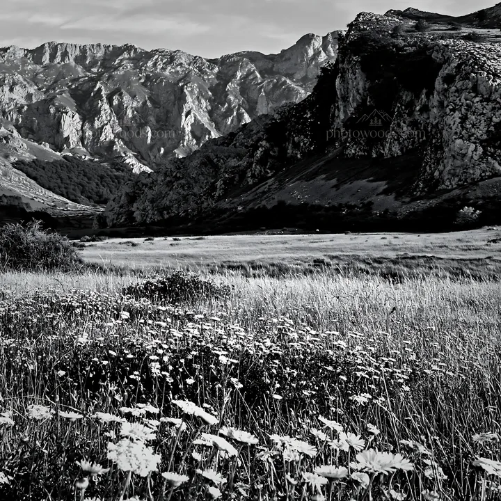 Meadow beneath crags with wildflowers and mountains in the background - AI-generated stock image