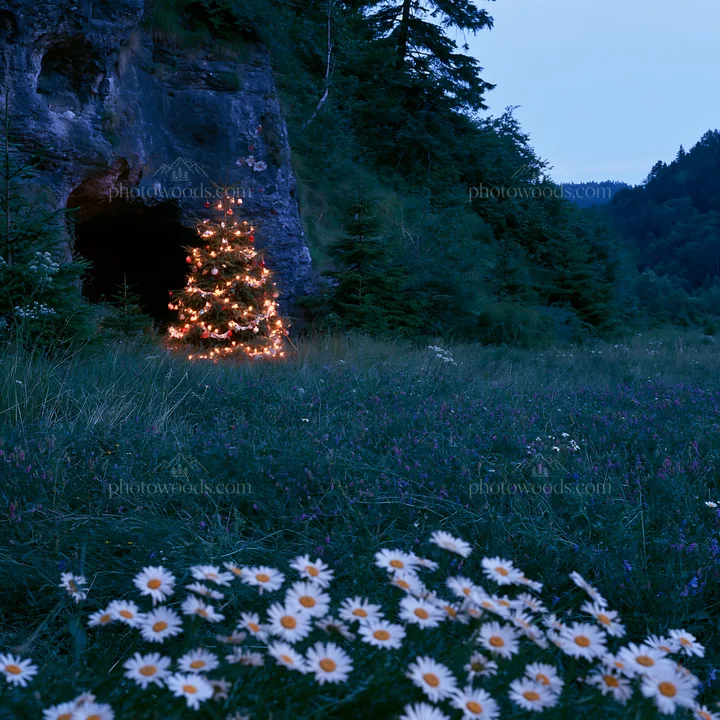 Christmas tree with lights in meadow near cave at dusk - AI-generated stock image
