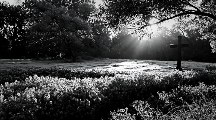 Christian cross in frost-covered meadow - AI-generated stock image