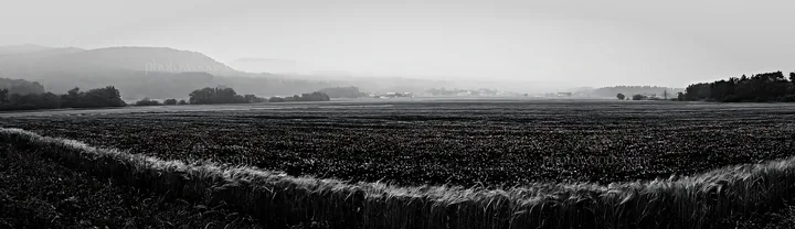 Black and white iwate rain refreshed meadow seedhead foreground - AI-generated stock image