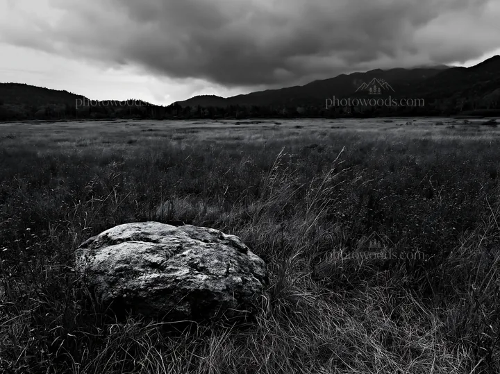 Black and white nagano drought resilient meadow granite boulder with landscape views - AI-generated stock image