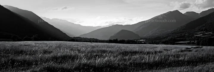 Black and white french meadow below Pyrenees range with mountains in the background - AI-generated stock image
