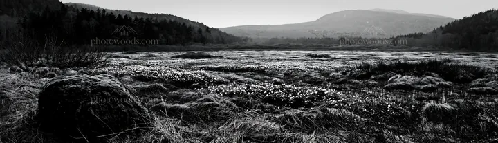 Miyagi spring recovery meadow with mossy stones - AI-generated stock image
