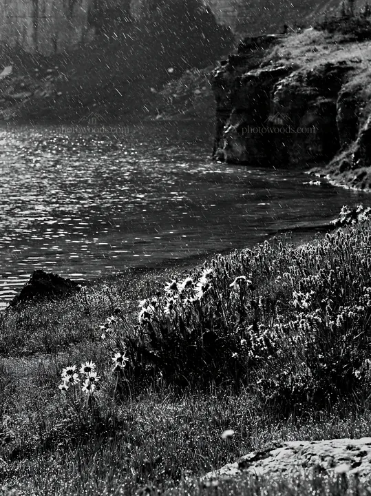 Snowy lakeside meadow with wildflowers and water reflections - AI-generated stock image