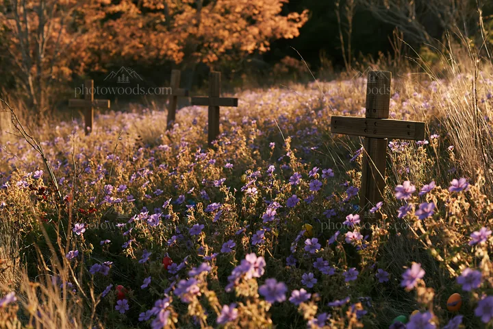 Multiple Christian crosses in Christmas meadow with purple flowers - AI-generated stock image