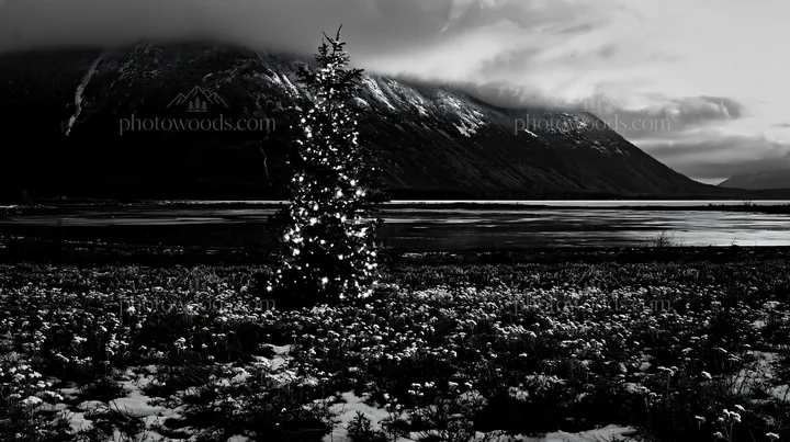 Christmas tree with lights in snowy mountain valley meadow - AI-generated stock image