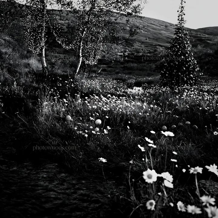 Christmas tree with ornaments beside stream in meadow - AI-generated stock image
