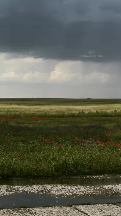 Rainwashed meadow with dark clouds and green grass - AI-generated stock image