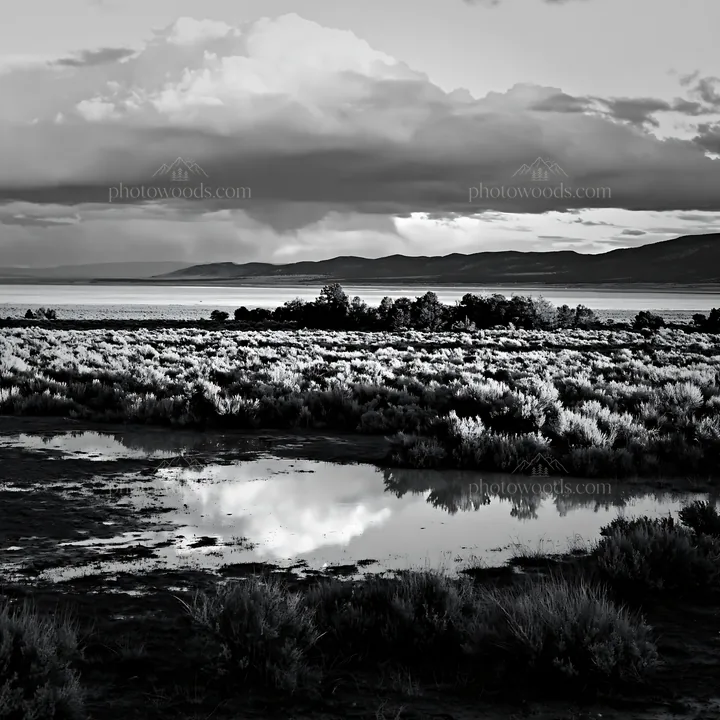 Black and white sagebrush meadow light over a reflective pond - AI-generated stock image