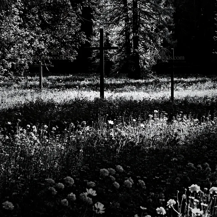Rustic crosses in meadow at Christmas backlight - AI-generated stock image
