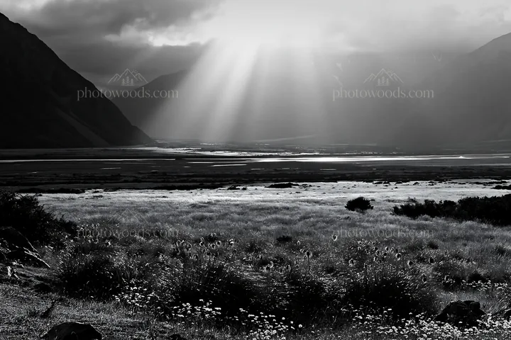Black and white crepuscular rays shining over a meadow landscape - AI-generated stock image