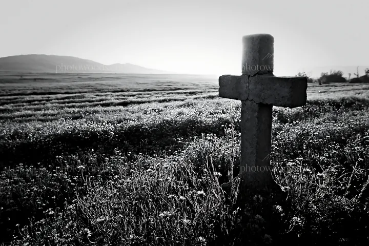 Christian cross in backlit summer meadow during sunset - AI-generated stock image