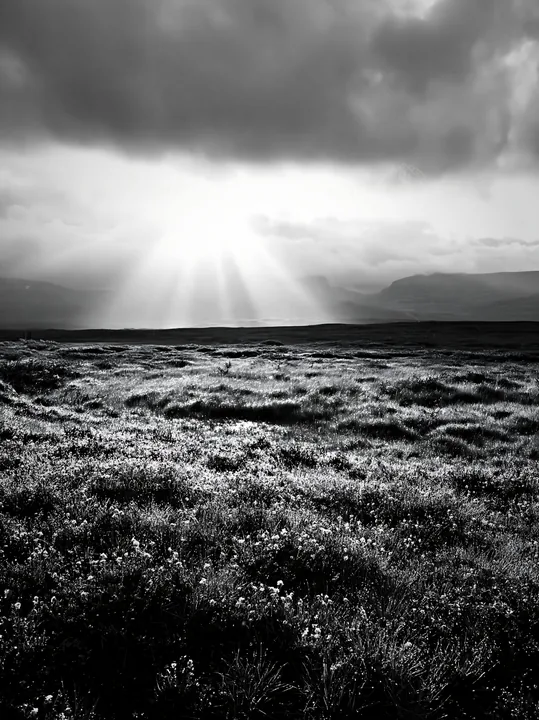 Sunbeams over Jotunheimen valley meadow in black and white - AI-generated stock image